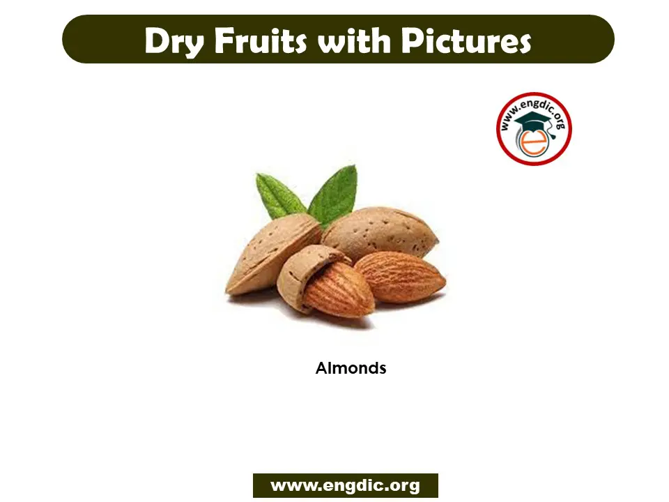 dry fruits with pictures