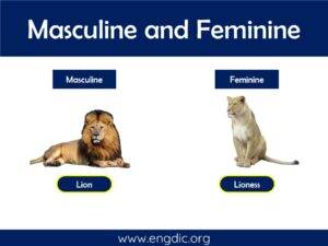 100 Examples of Masculine and Feminine Gender List - EngDic