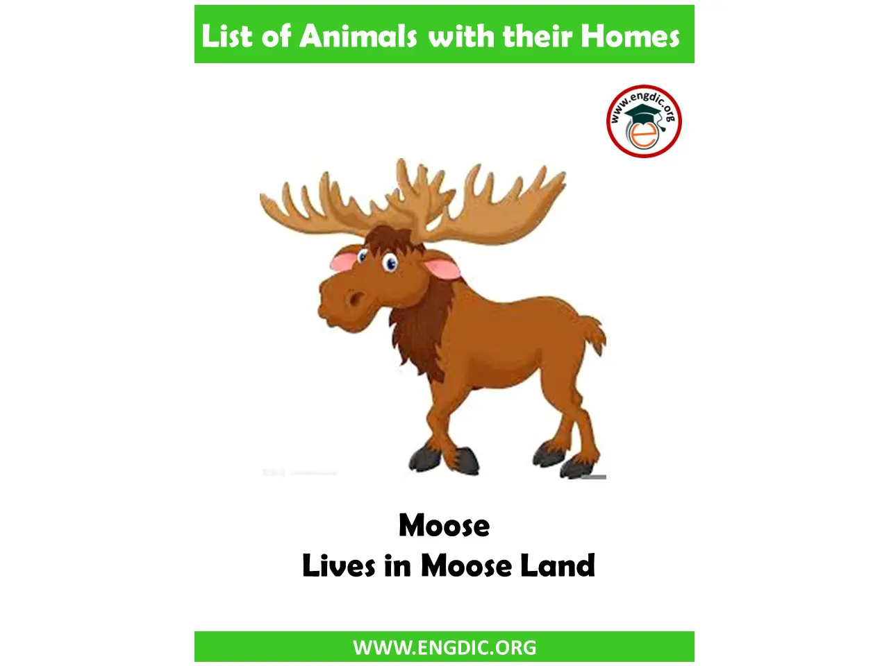 moose home name