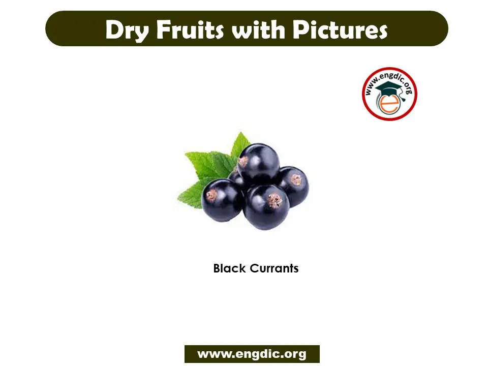 dry fruits with pictures