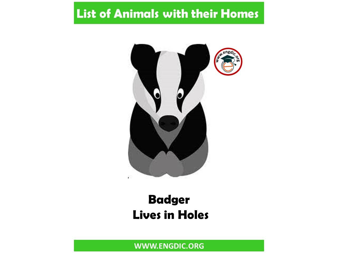 badger home name