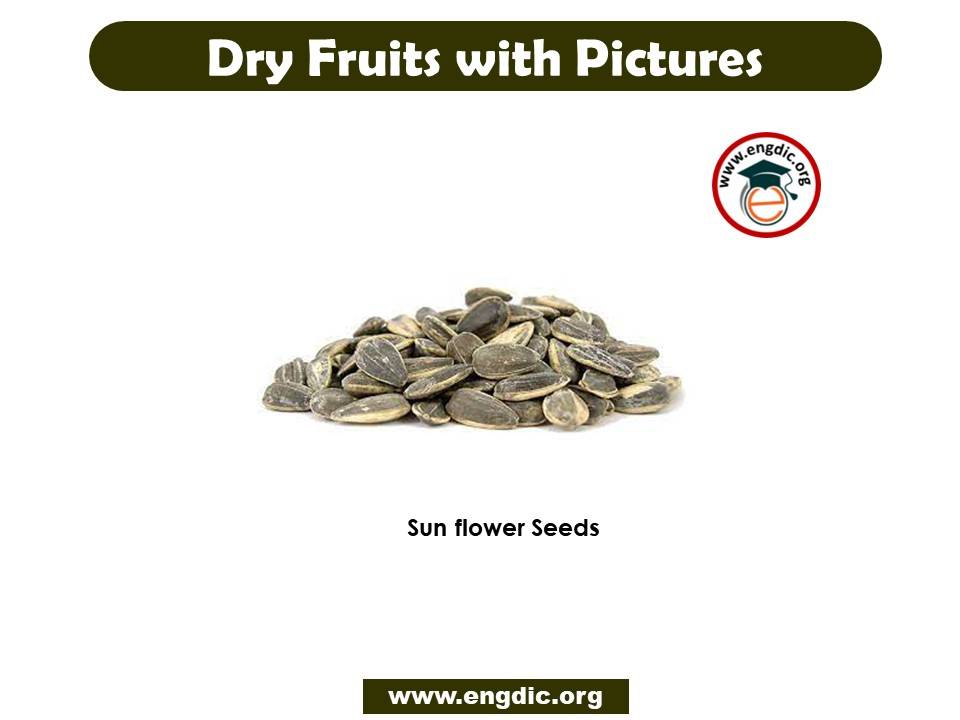 dry fruits with pictures