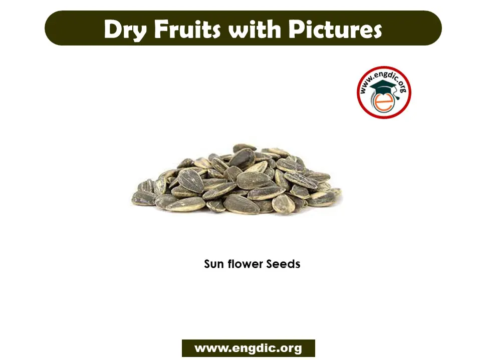 dry fruits with pictures