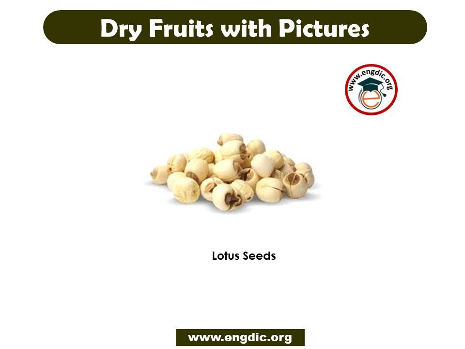 dry fruits with pictures