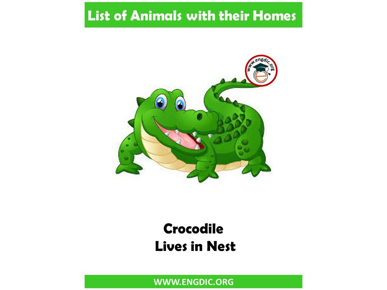 crocodile home name