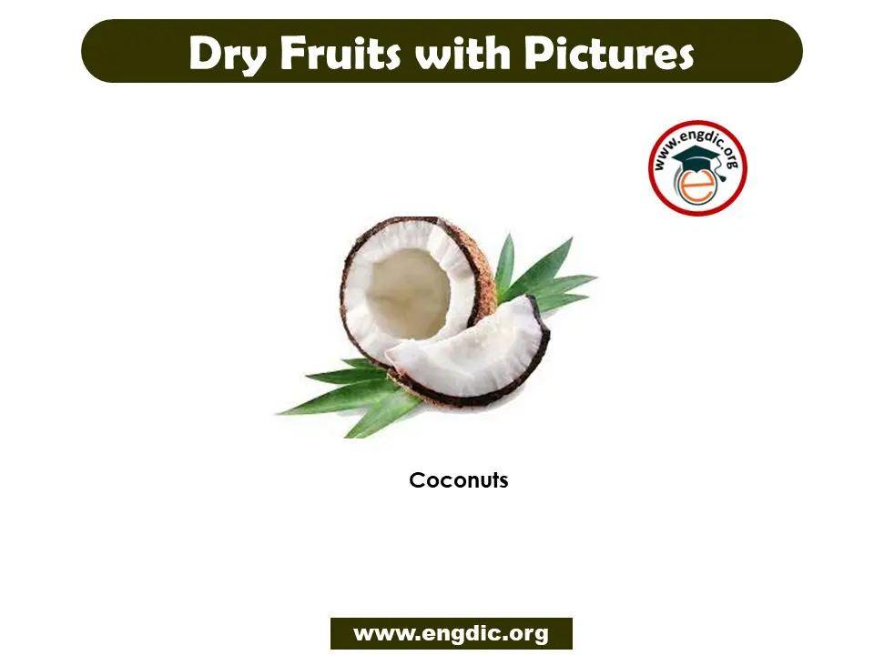 dry fruits names pdf