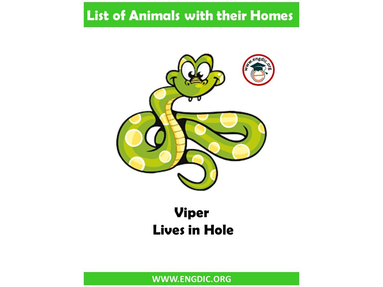 List of Animals and their homes Pdf - EngDic