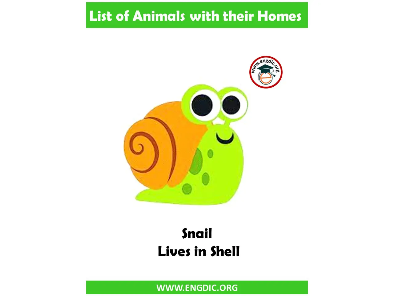 homes names of animals