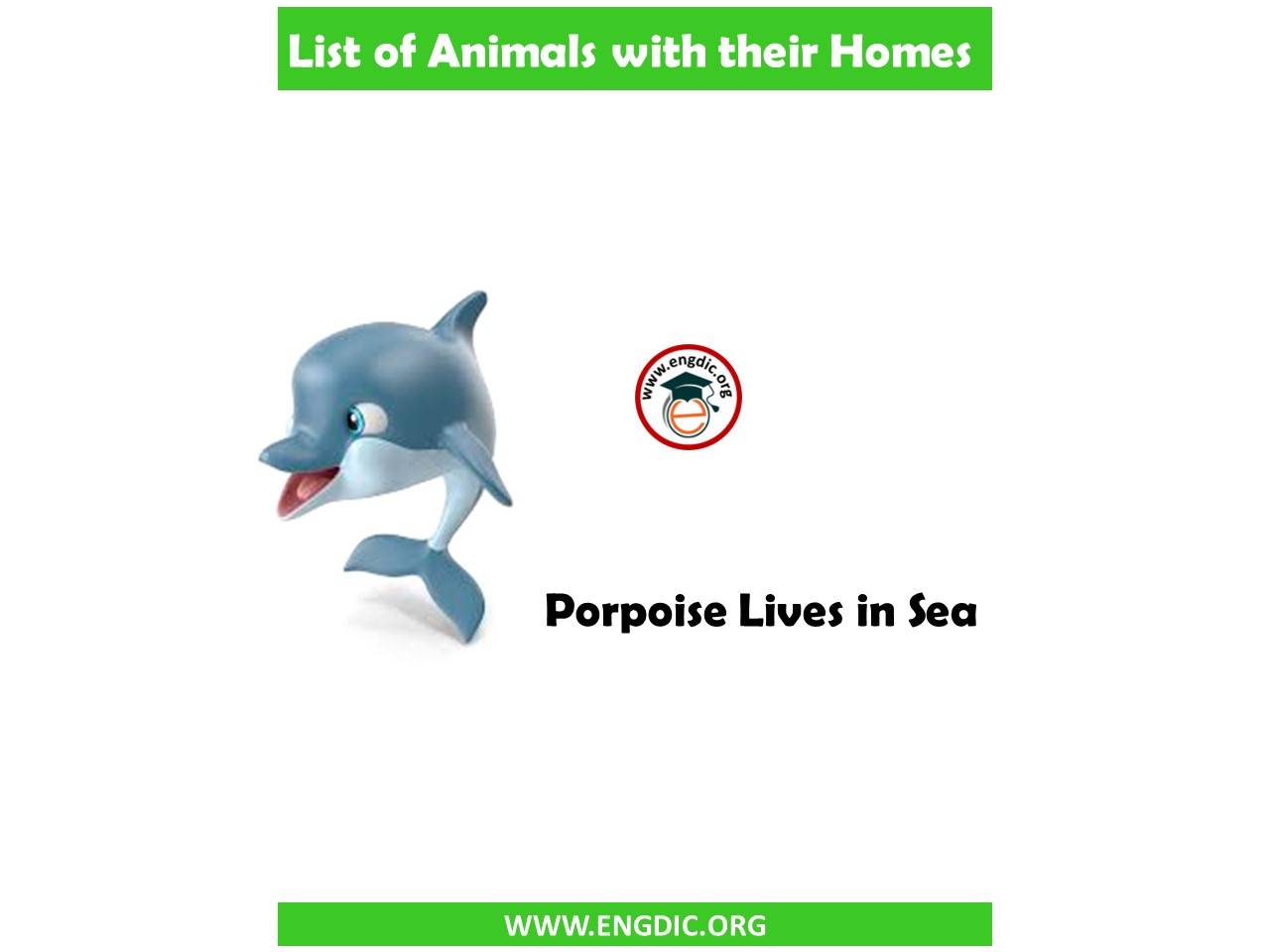 animal homes with images