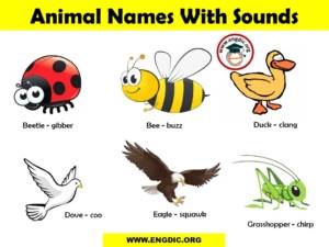 List Of Animal Sounds From A To Z PDF And Infographics - EngDic