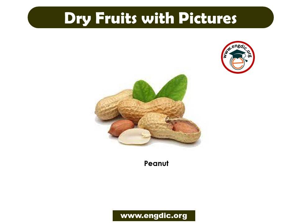 list of dry fruits