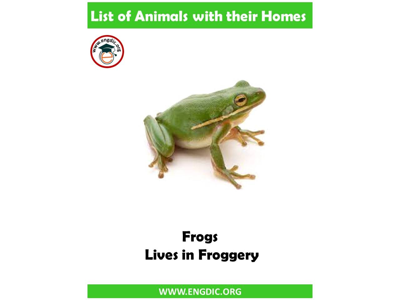 List of Animals and their homes Pdf - EngDic