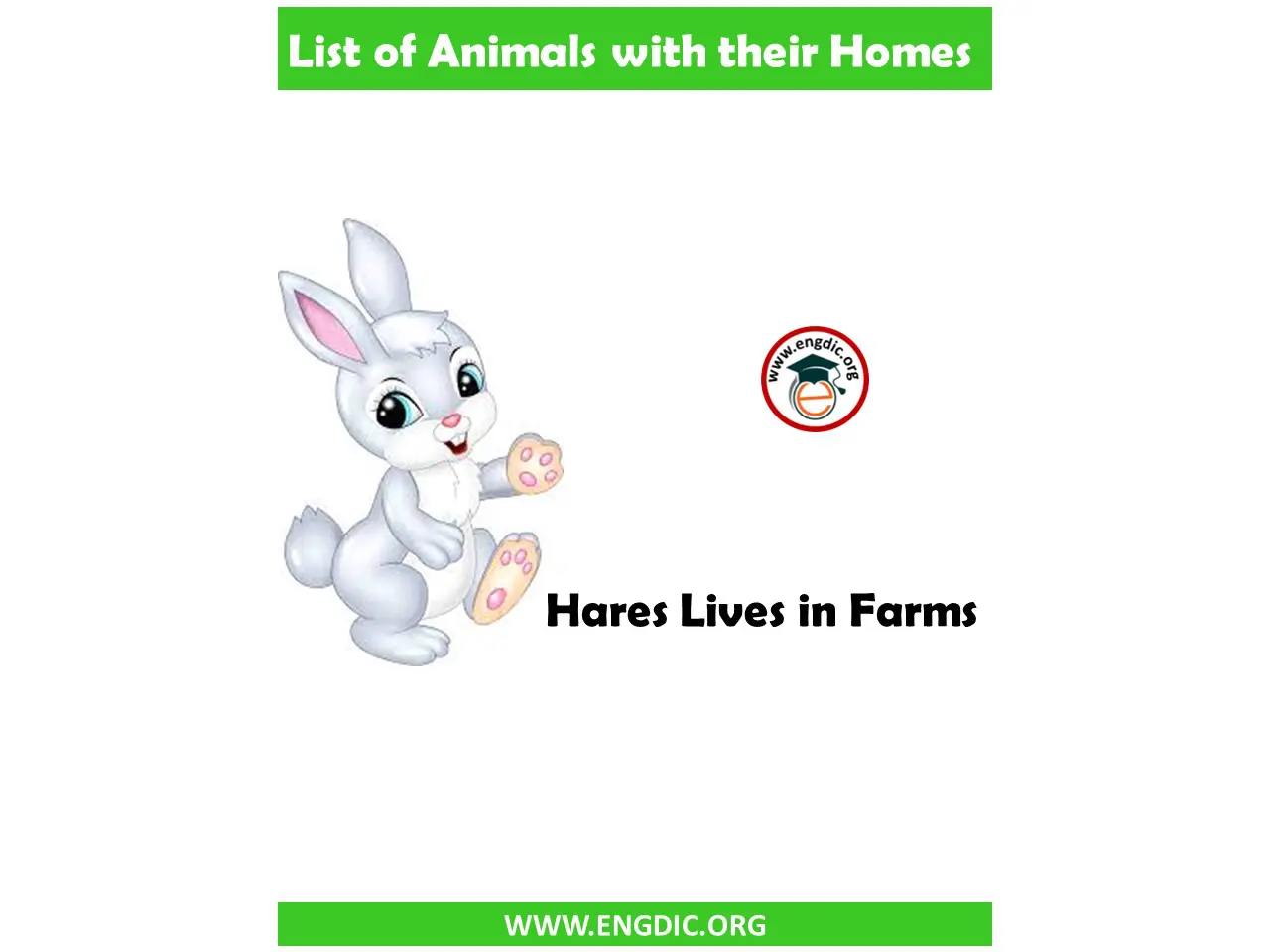 List of Animals and their homes Pdf - EngDic