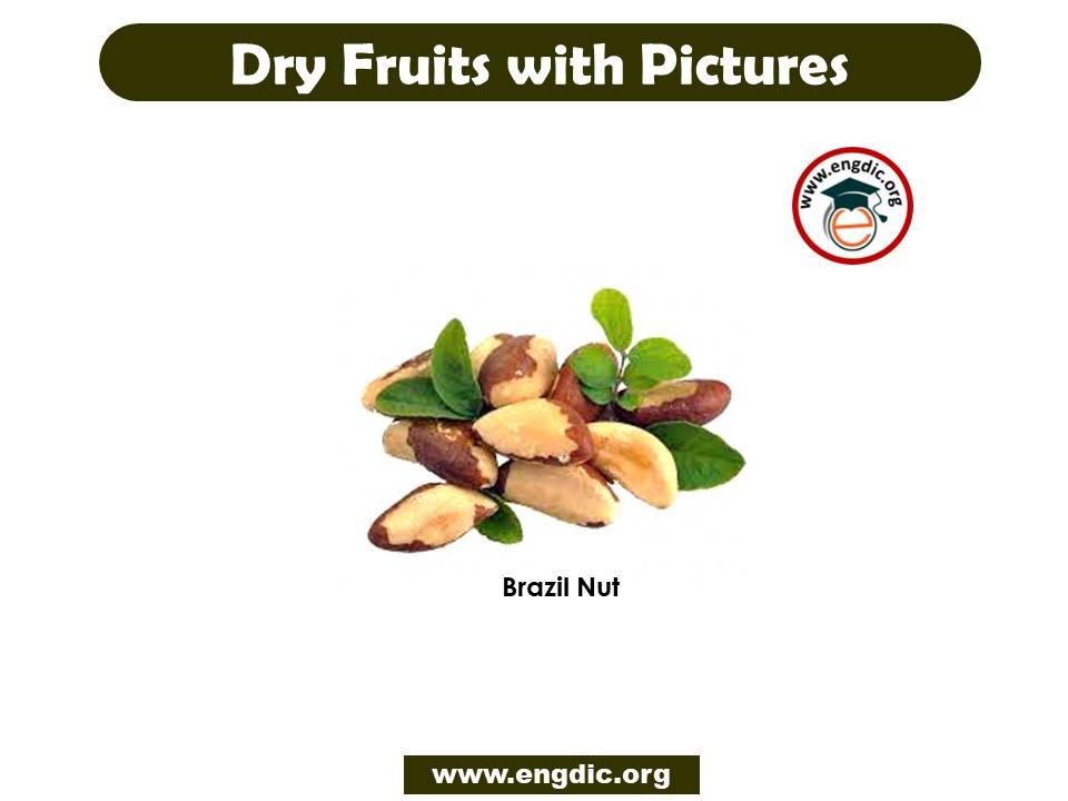 list of dry fruits