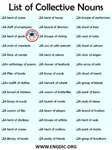 nouns noun engdic criminals