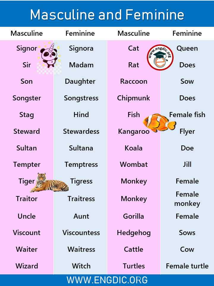 Examples Of Masculine And Feminine Gender List Engdic