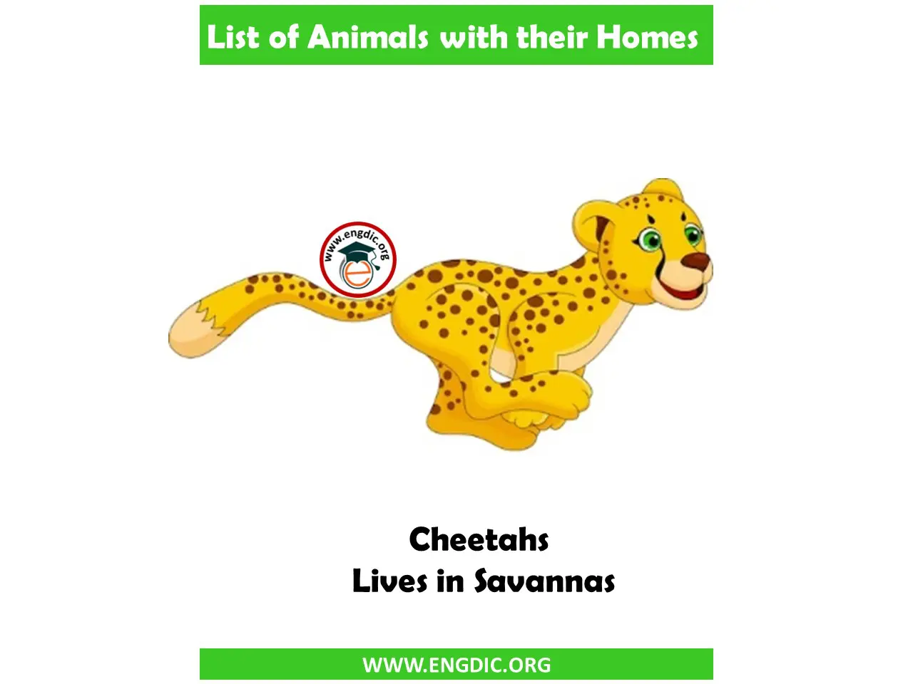 cheetahs home name