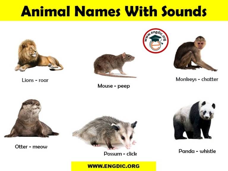 List of Animal Sounds from A to Z PDF and Infographics EngDic