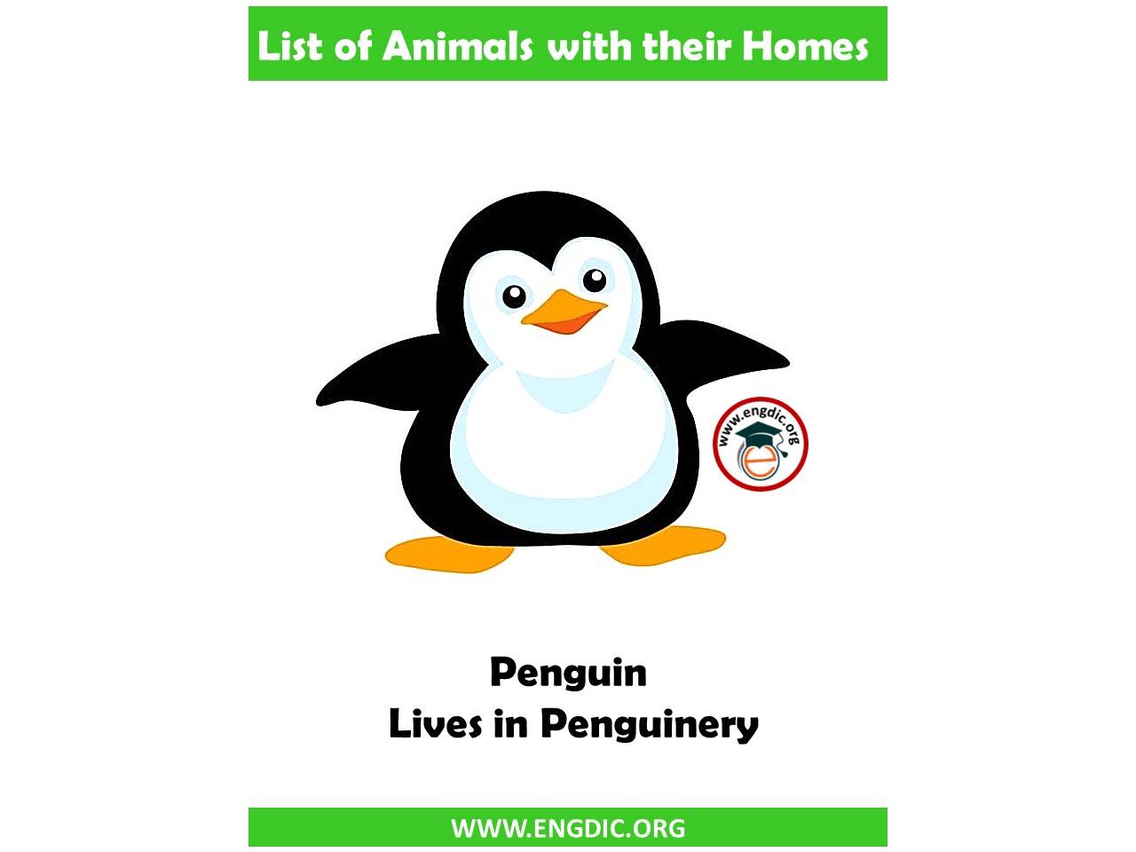 penguin home name