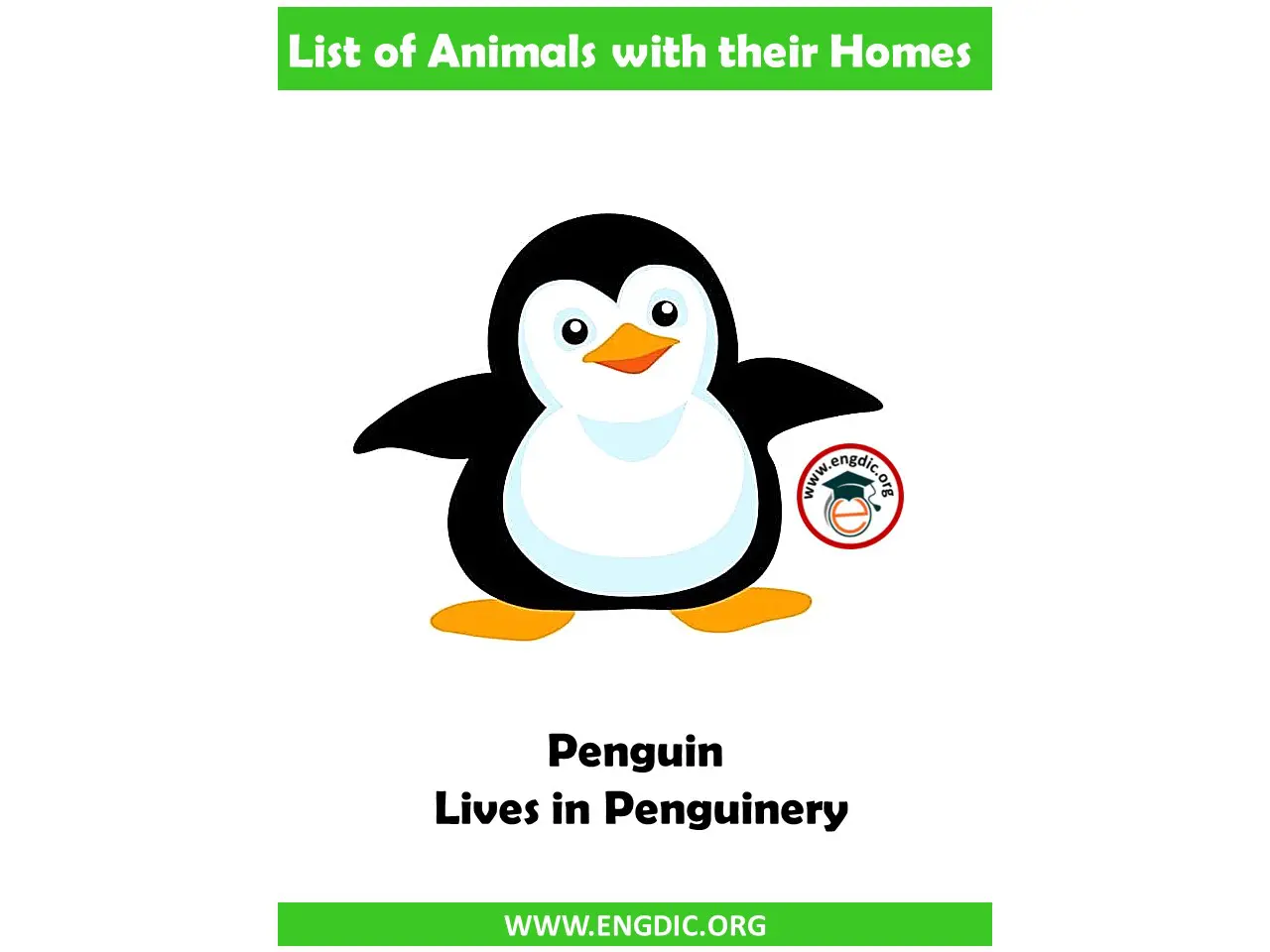 penguin home name