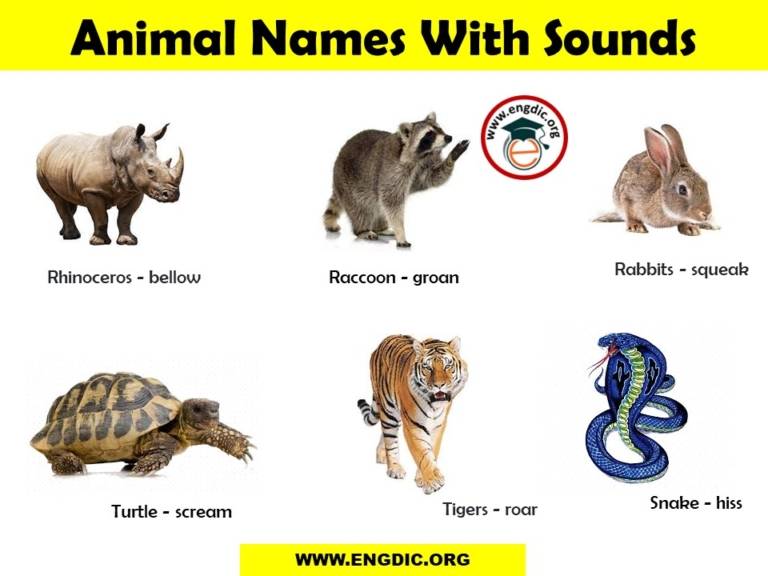 List of Animal Sounds from A to Z PDF and Infographics