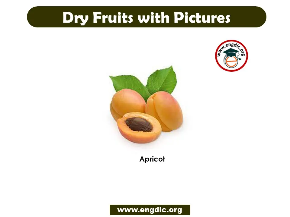 Dry Fruit names in English