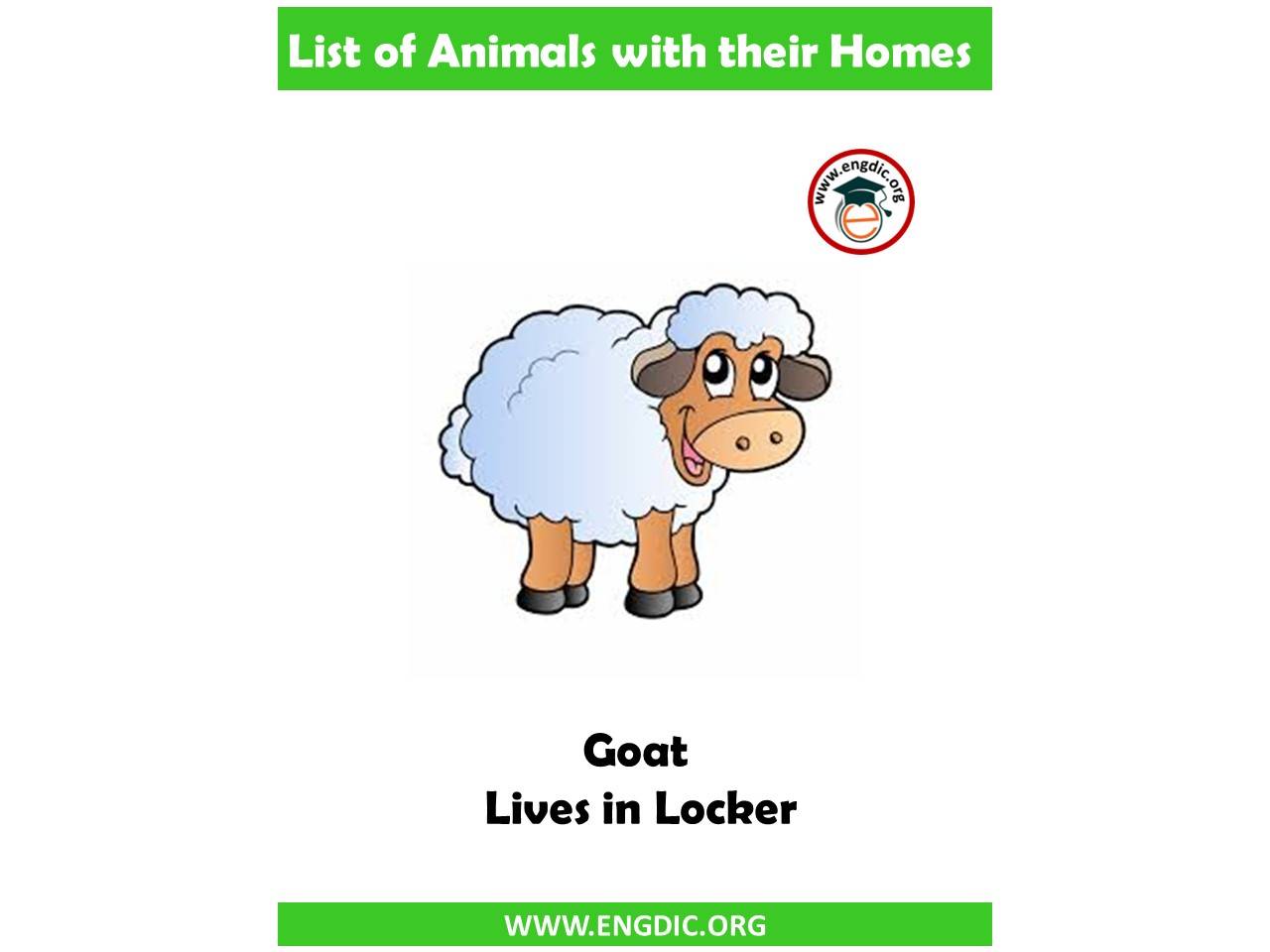 lamb home name
