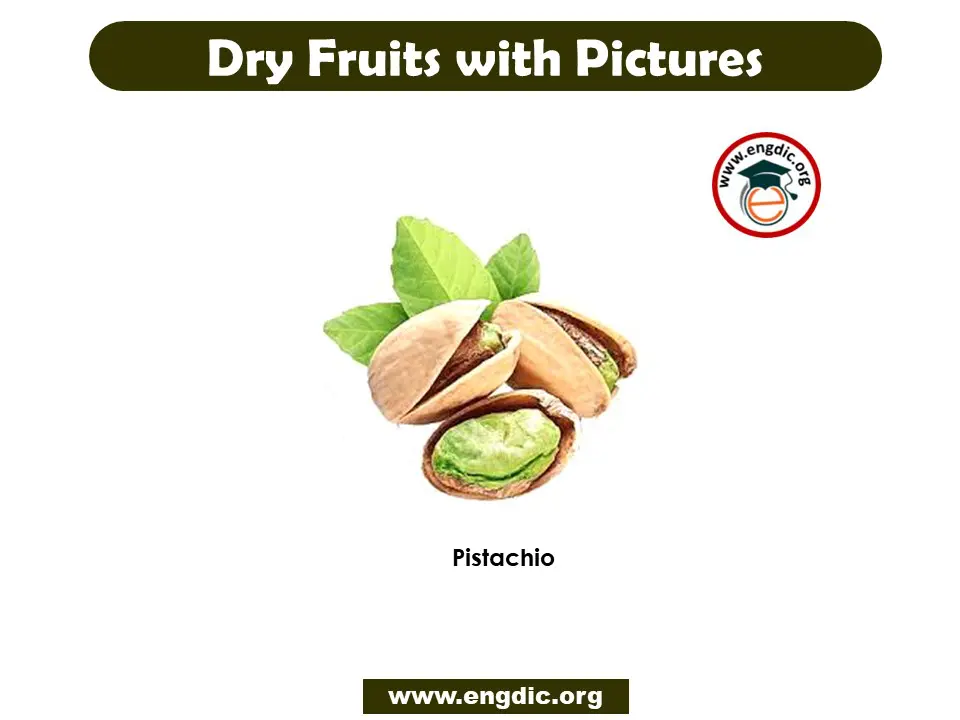 dry fruit vocabulary