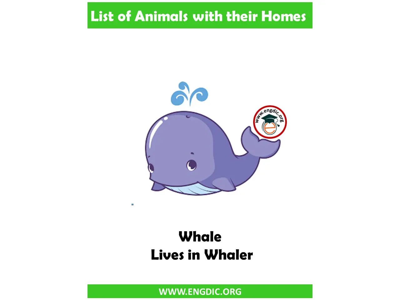 whale home name