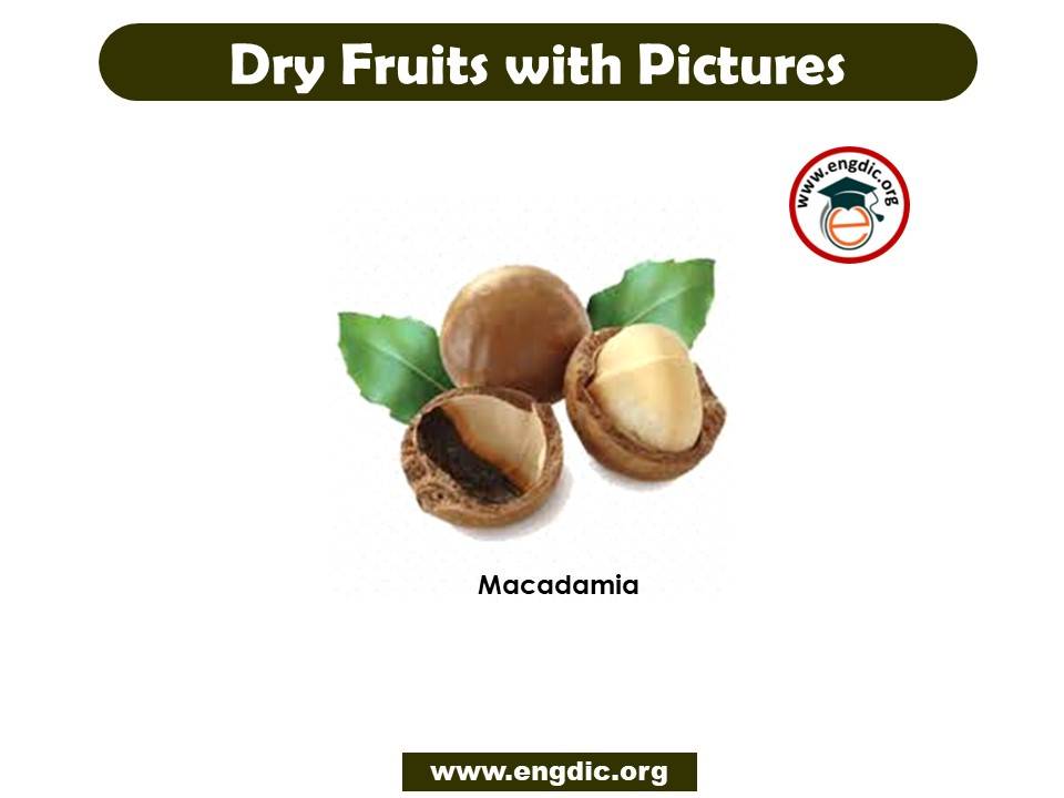 dry fruit vocabulary