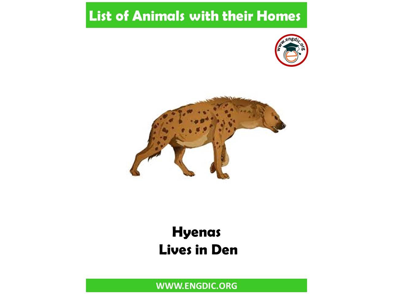 hyenas home name