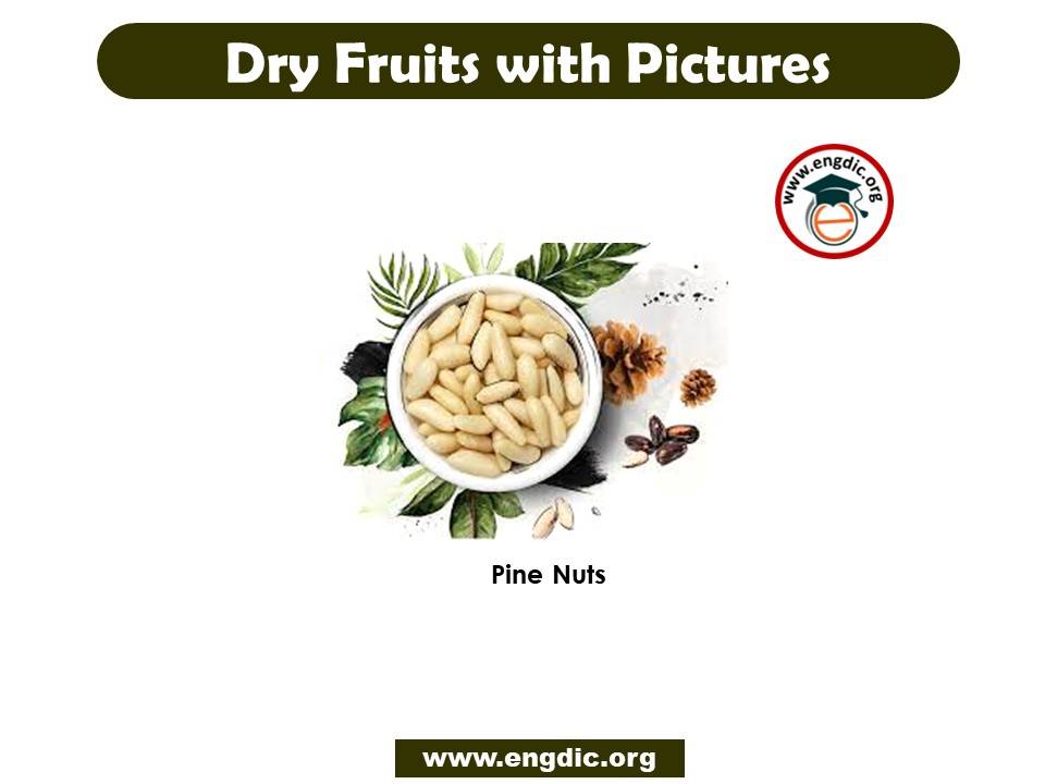 dry fruit vocabulary