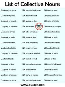 collective noun examples