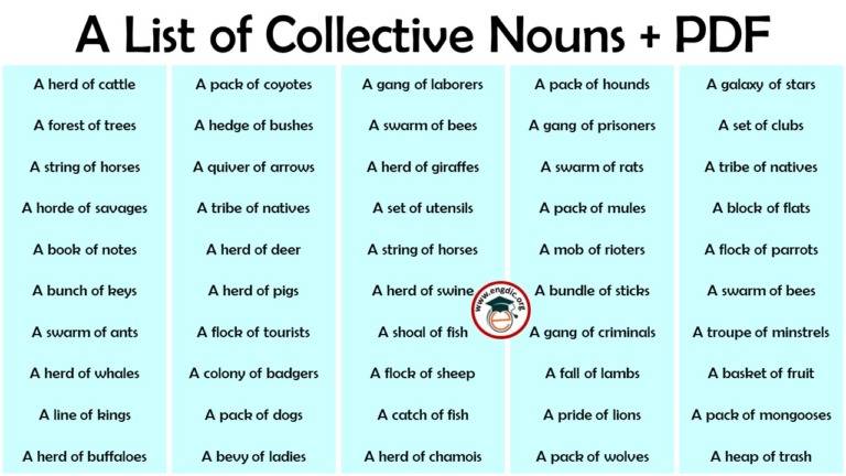 animal collective nouns list pdf