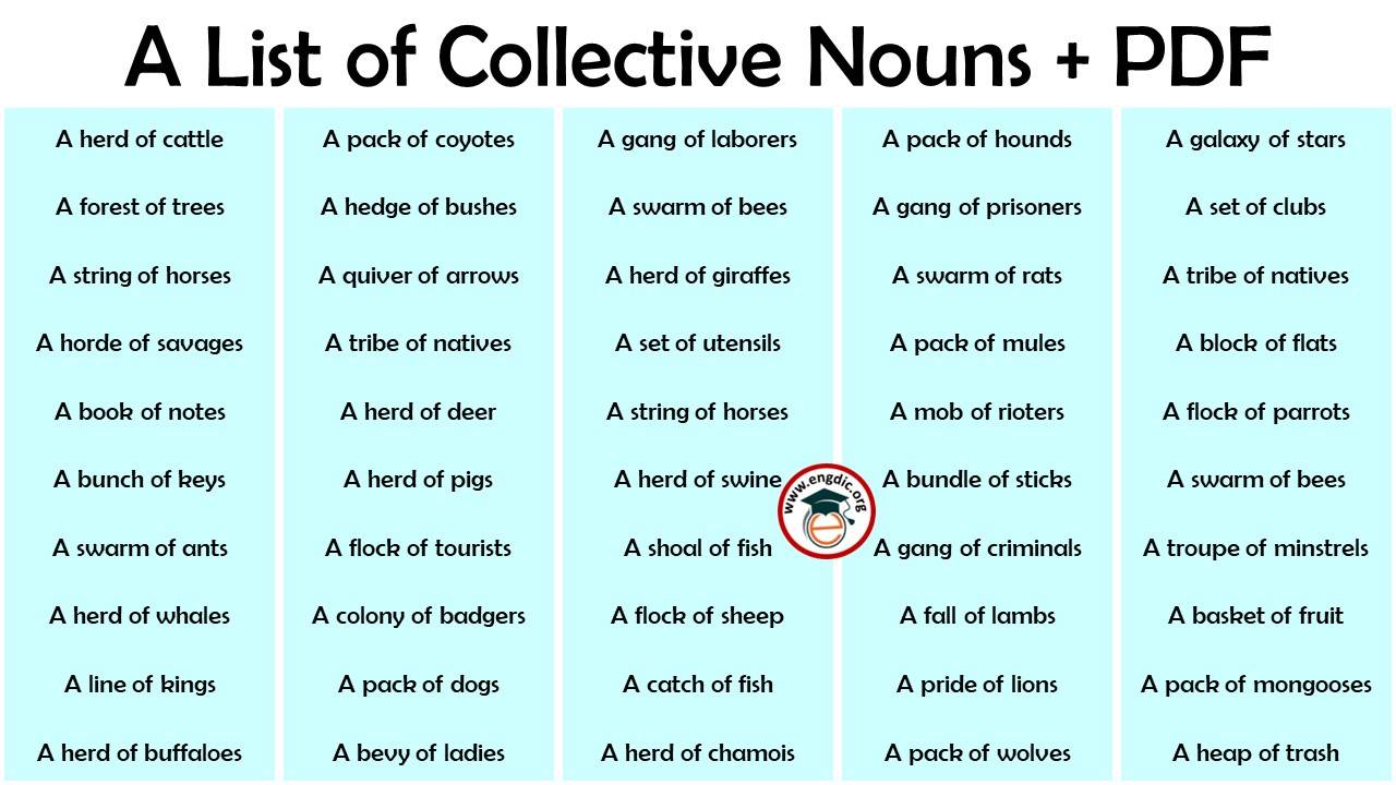 useful-collective-nouns-for-things-with-examples-7esl-learn-english