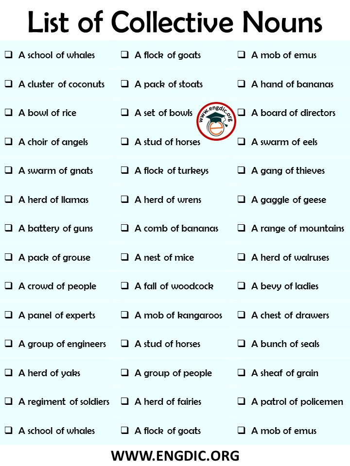 collective nouns list