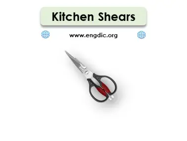 kitchen tools names list with pictures and images (21)
