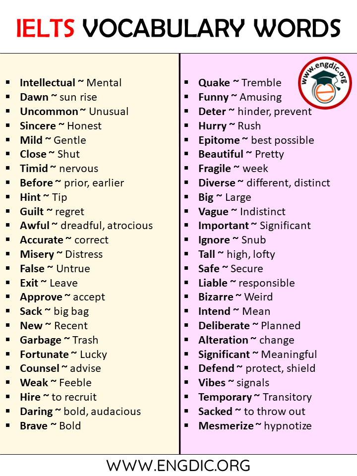 ielts essay vocabulary list