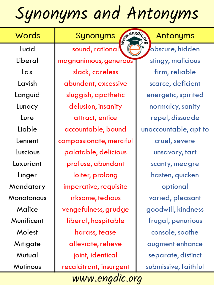 Synonym & Antonym Dictionary – Allganize