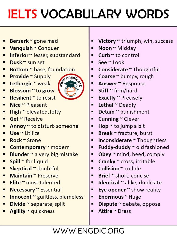 ielts essay vocabulary words