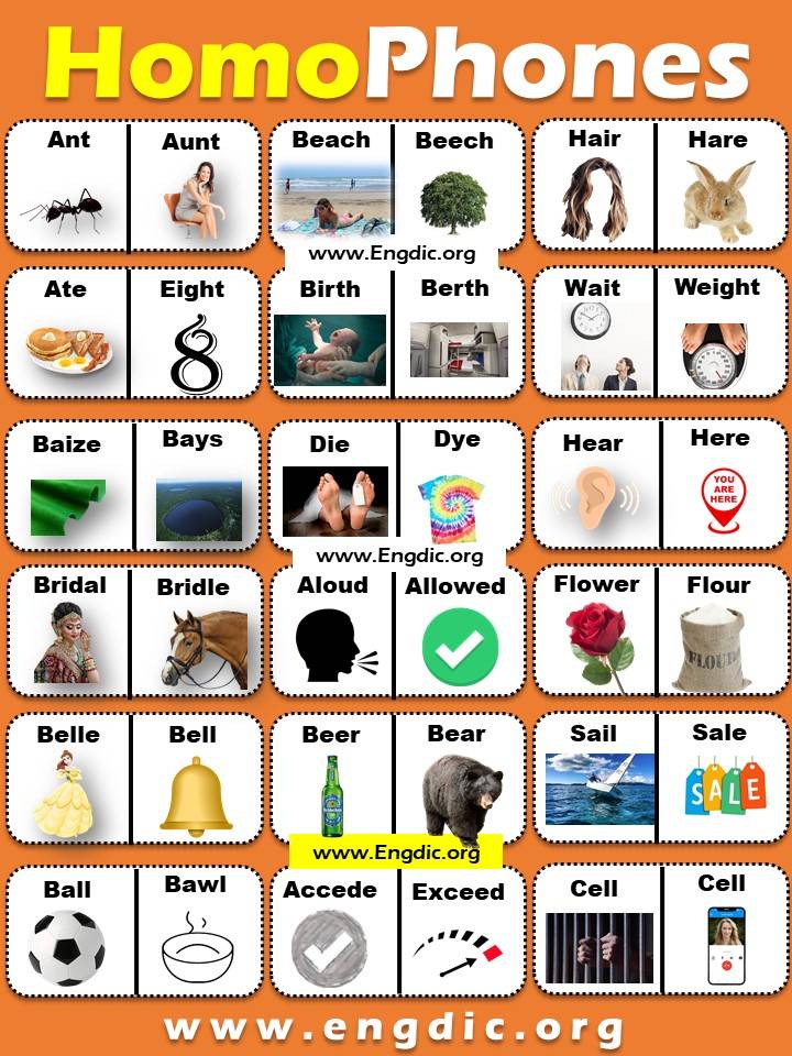 Homophones List in English A to Z PDF!