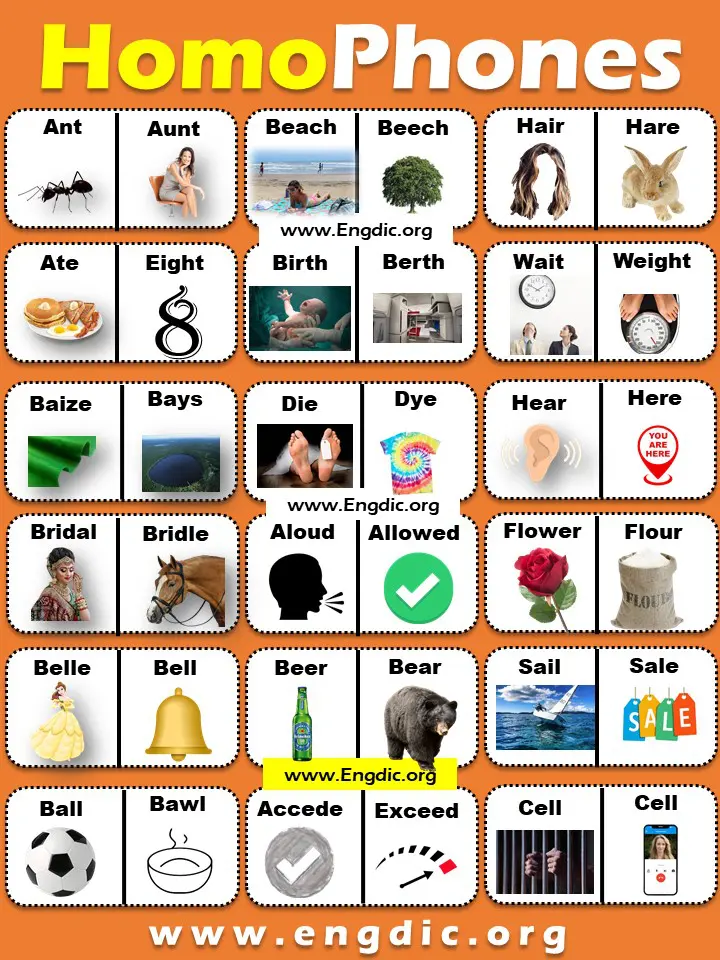 Homophones List in English A to Z PDF!