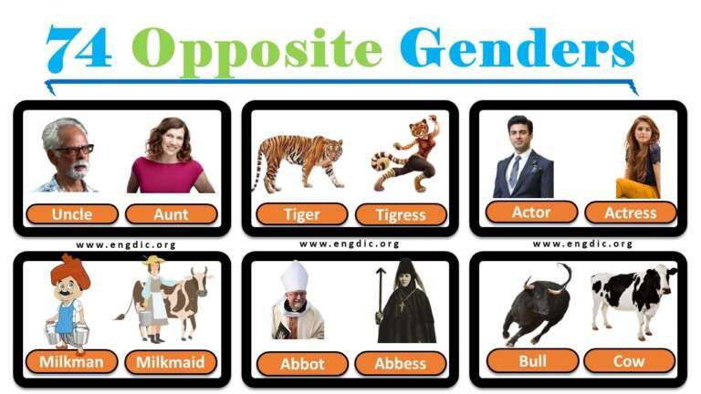 Opposite Gender Of Lady Luck