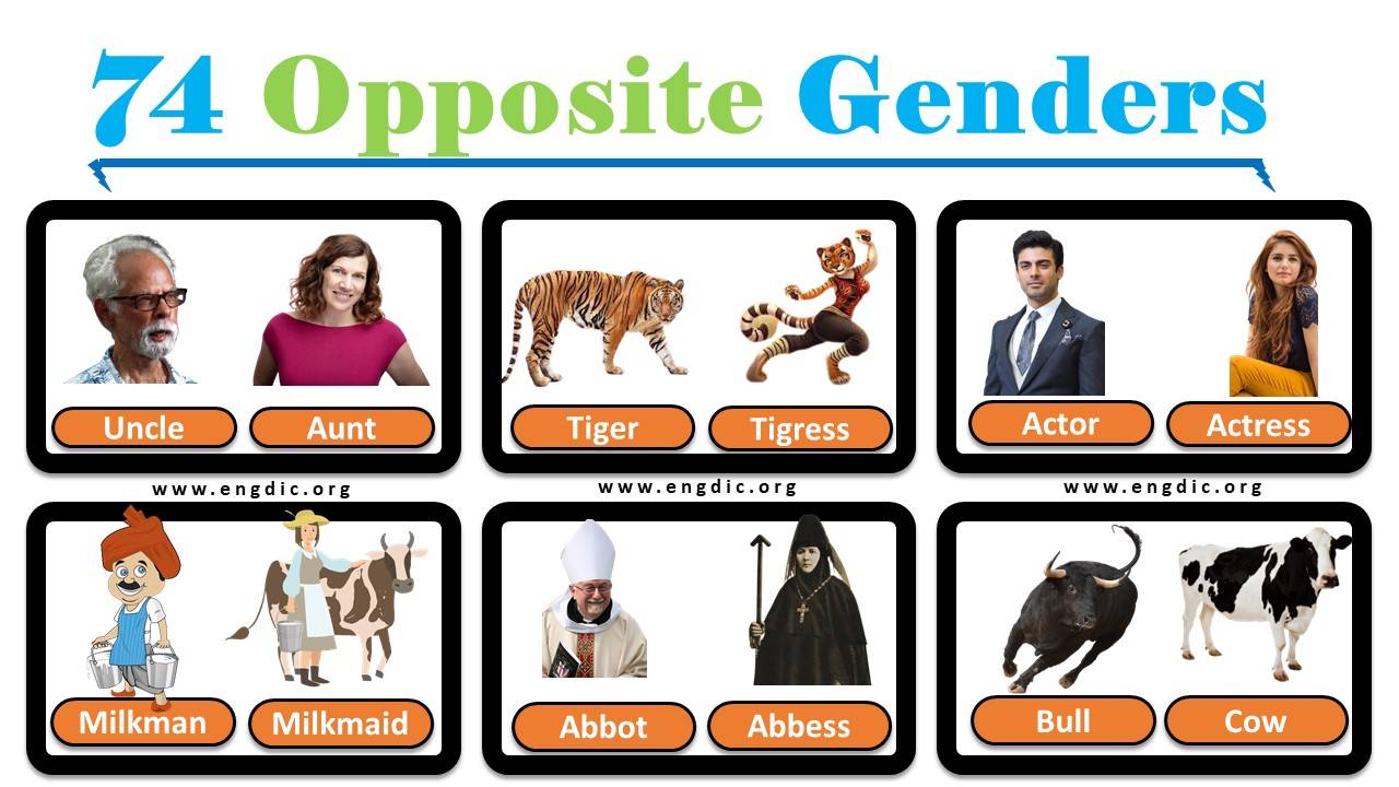 opposite gender noun of wizard