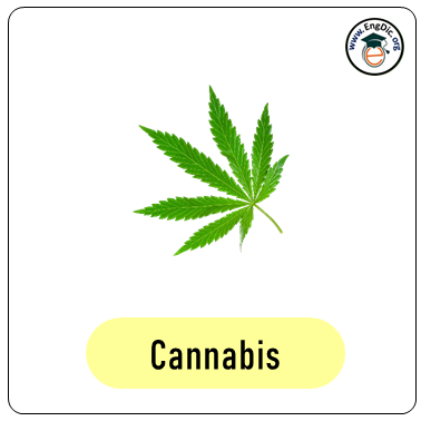 cannabis