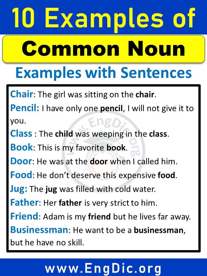 examples of common noun in sentences in english