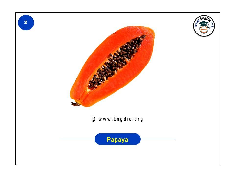 list of tropical fruits in english with pictures and pdf - image 2