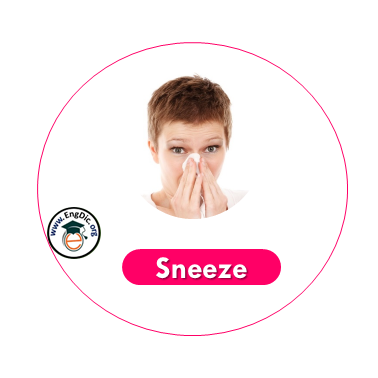 sneeze