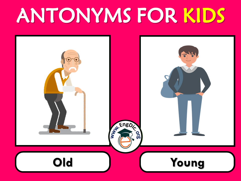 antonyms with pictures