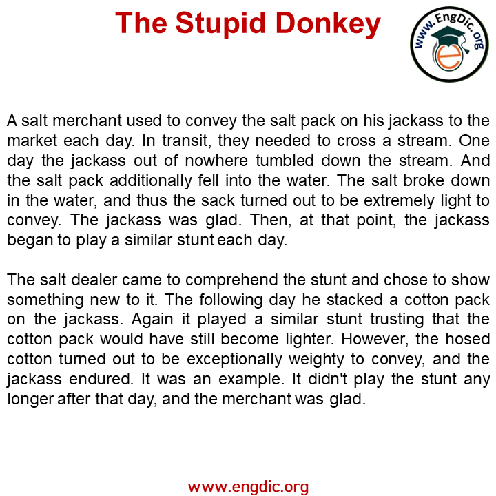 the stupid donkey